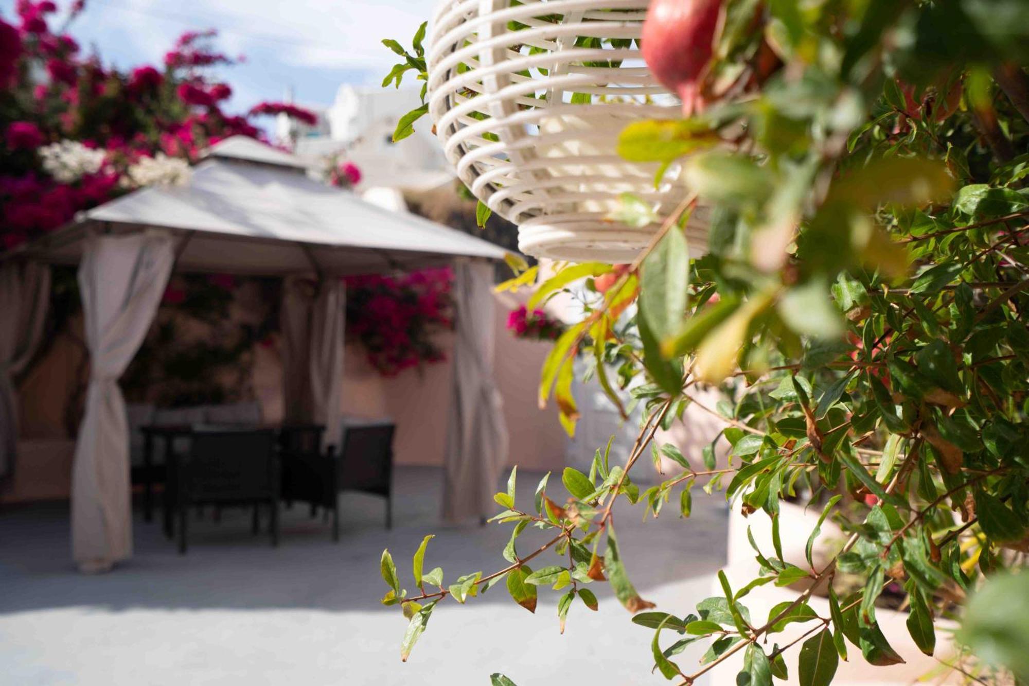 Santorini Oasis- Cave House Villa Fira  Exterior photo